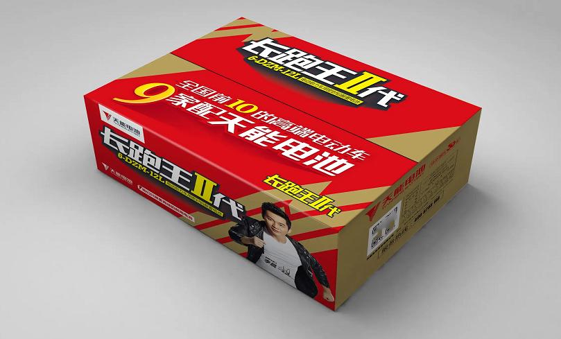 更换电动车电瓶_电动换电瓶要注意什么_电车换电瓶