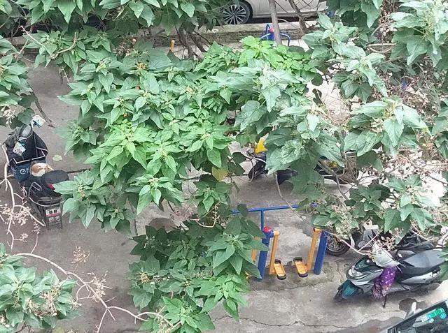 电动附近维修车电话多少_附近的电车修理电话_附近维修电动车电话